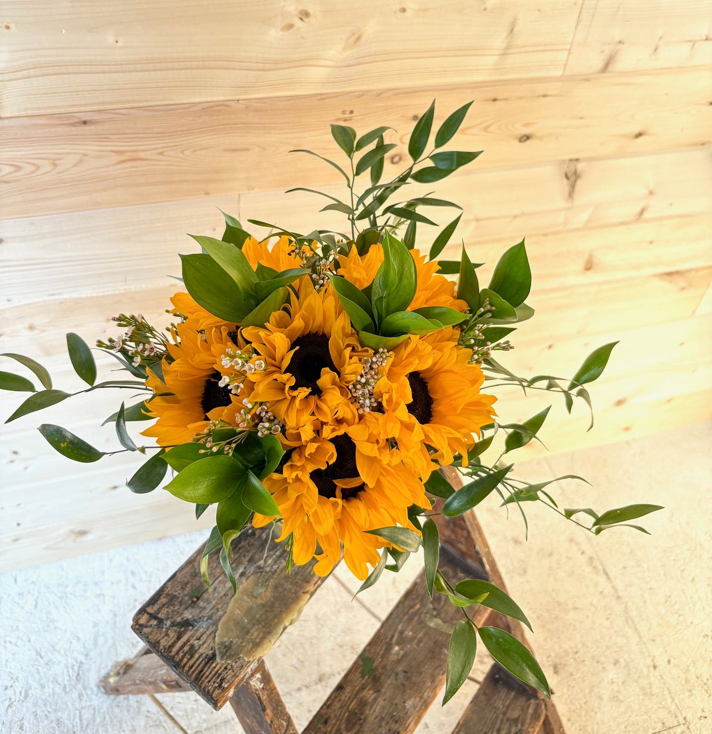 Sunflower Special