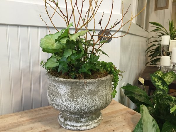 Planter with Lush Greens and Flowers