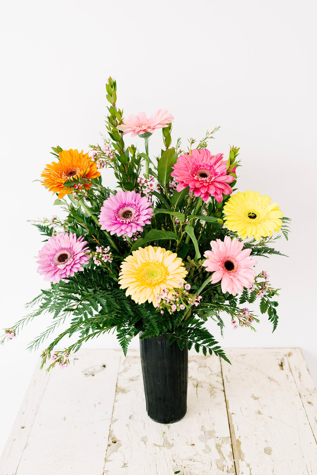 Color Rich Gerbera Daisies