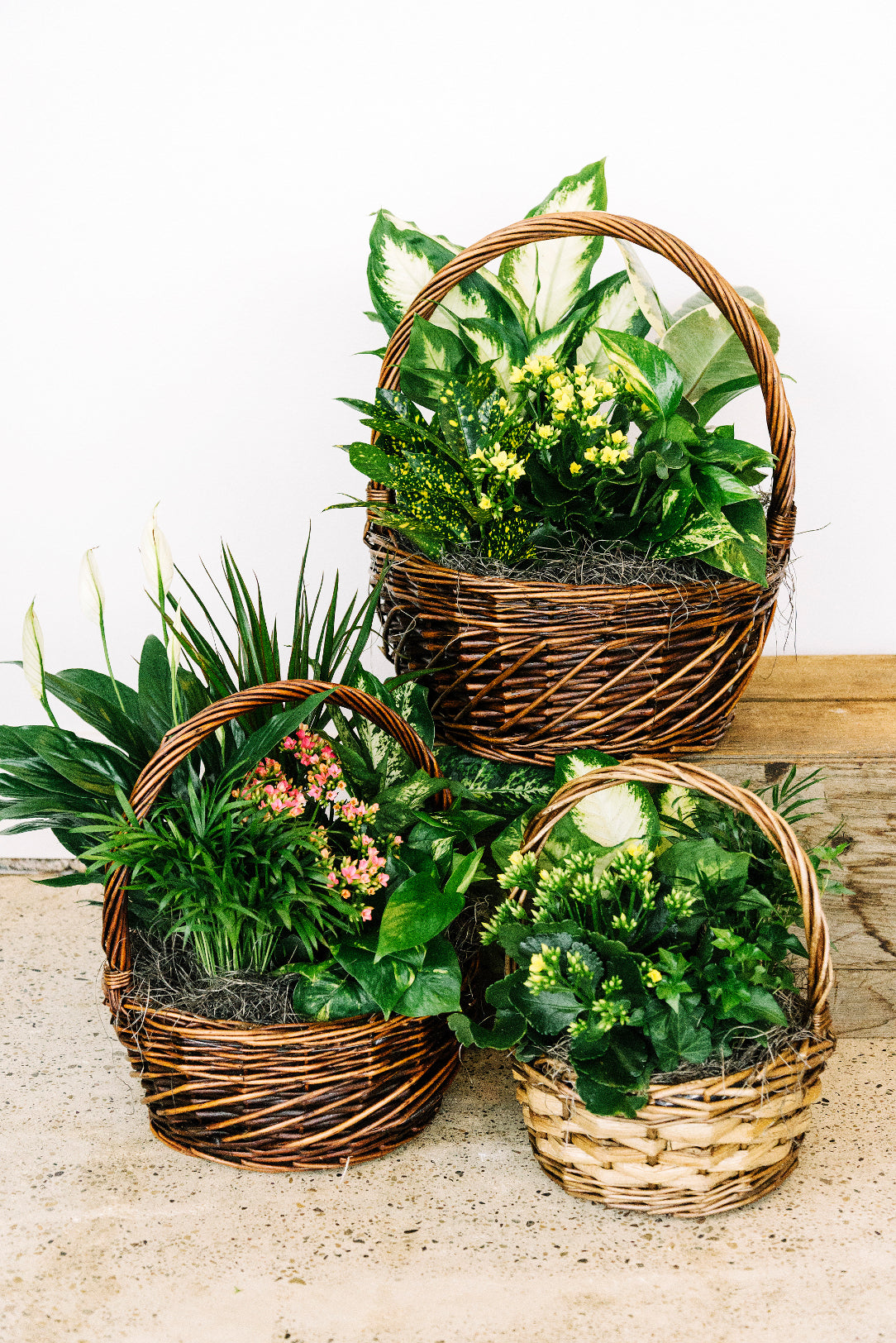 Classic Planter Baskets